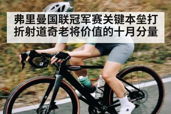 弗里曼国联冠军赛关键本垒打折射道奇老将价值的十月分量 - NG28
